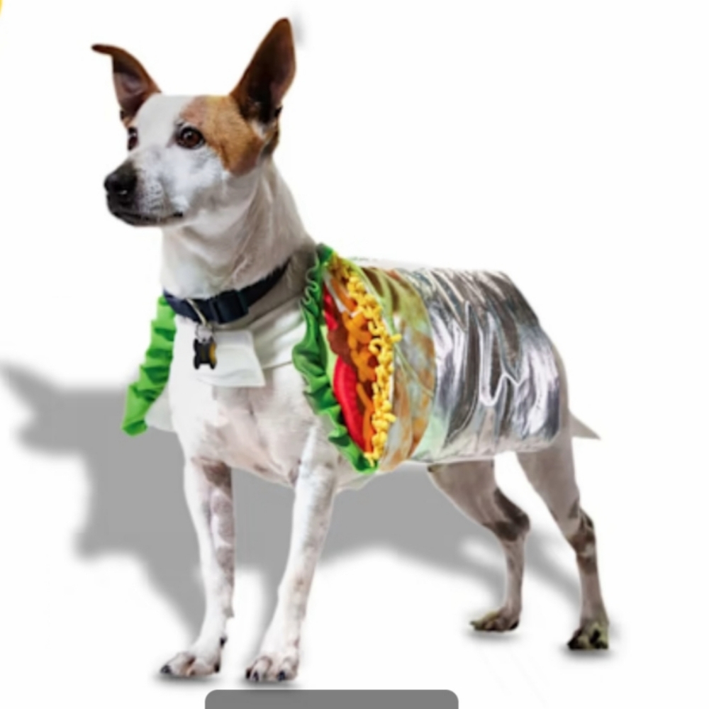 Pet Halloween custom